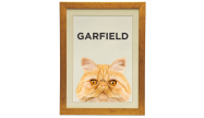 Quadro Personalizado Pet Persa