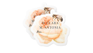 Adesivo para Presente Especial Personalizado
