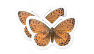 Adesivo para Presente Especial Personalizado Papillon