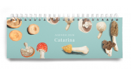 Agenda Teclado 2026