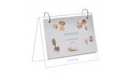calendário-de-mesa-personalizado-fungi-capa