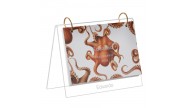 calendário-de-mesa-personalizado-octopus-capa