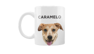 Caneca Pet Vira Lata Pelo Curto 