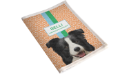 Porta Vacina Pet Border Collie