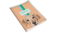 Porta Vacina Pet Golden Retriever