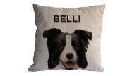Almofada Personalizada Pet Border Collie