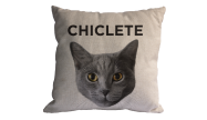 Almofada Personalizada Pet Felino Azul Russo
