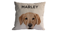 Almofada Personalizada Pet Golden 