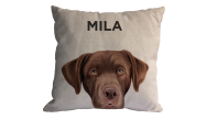Almofada Personalizada Pet Labrador