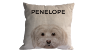 Almofada Personalizada Pet Maltês