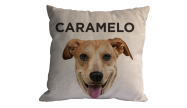 Almofada Personalizada Pet Vira Lata Pelo Curto