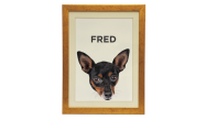 Quadro Pinscher