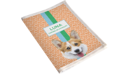 Porta Vacina Pet Corgi 