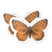 Adesivo para Presente Especial Personalizado Papillon