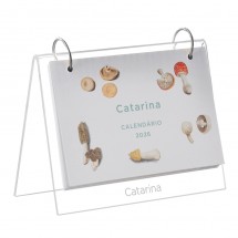 calendário-de-mesa-personalizado-fungi-capa