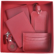 Kit Couro Pantone