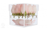 Caixa Personalizada para Flores Rosa