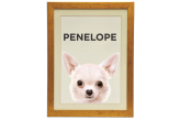 Quadro Personalizado Pet Chihuahua