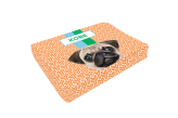 Caminha Pet Pug
