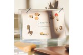 calendário-de-mesa-personalizado-fungi-ambientado-capa