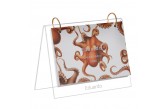 calendário-de-mesa-personalizado-octopus-capa