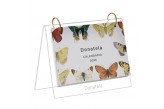 calendário-de-mesa-personalizado-papillon-capa