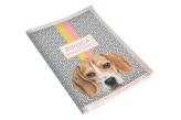 Porta Vacina Pet Beagle