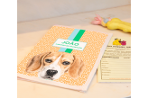 Porta Vacina Pet Beagle