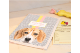 Porta Vacina Pet Beagle