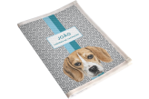 Porta Vacina Pet Beagle