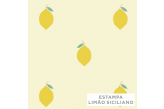 Tag de Mala Infantil Estampa Limão Siciliano