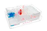 Kit Higiene Personalizado Nuvem Fonte Chic