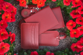 Kit Couro Pantone