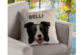 Almofada Personalizada Pet Border Collie