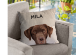 Almofada Personalizada Pet Labrador