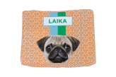 Caminha Pet Pug