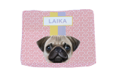 Caminha Pet Pug