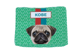 Caminha Pet Pug