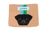 Caminha Pet Pug