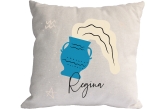 Almofada Signo Aquário 