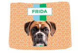 Cama de Cachorro Boxer