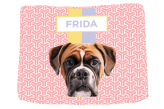Cama de Cachorro Boxer
