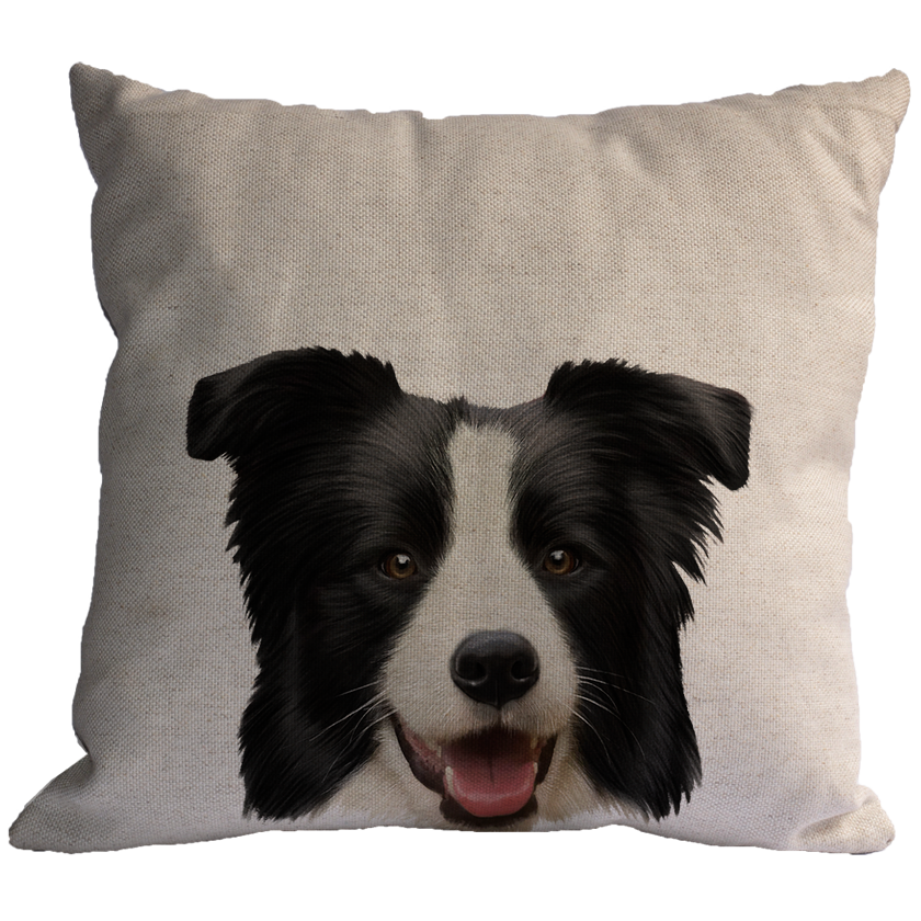 Adesivo Decorativo De Porta - Cachorro Border Collie